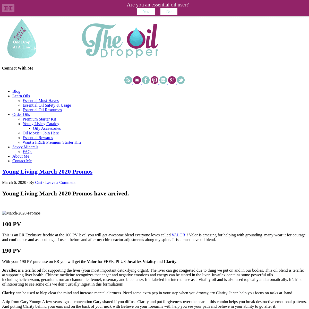 A complete backup of theoildropper.com
