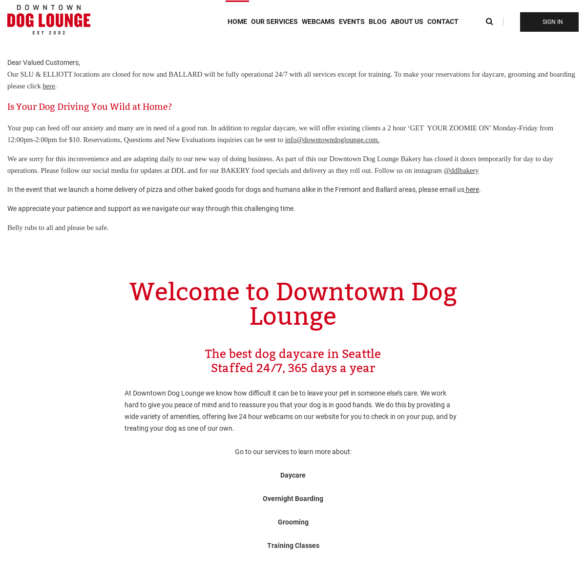 A complete backup of downtowndoglounge.com
