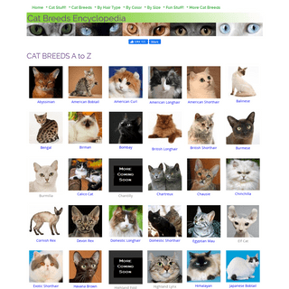 A complete backup of cat-breeds-encyclopedia.com