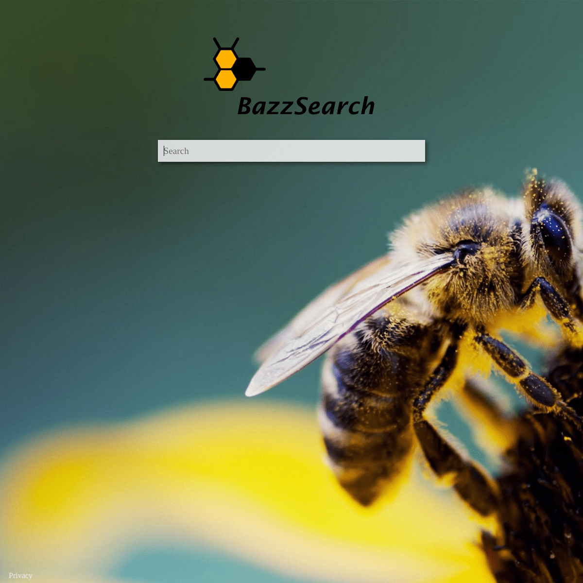 A complete backup of bazzsearch.com