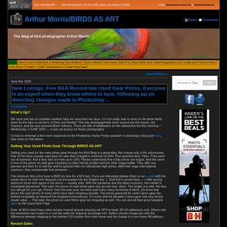 A complete backup of birdsasart-blog.com