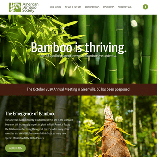 A complete backup of bamboo.org