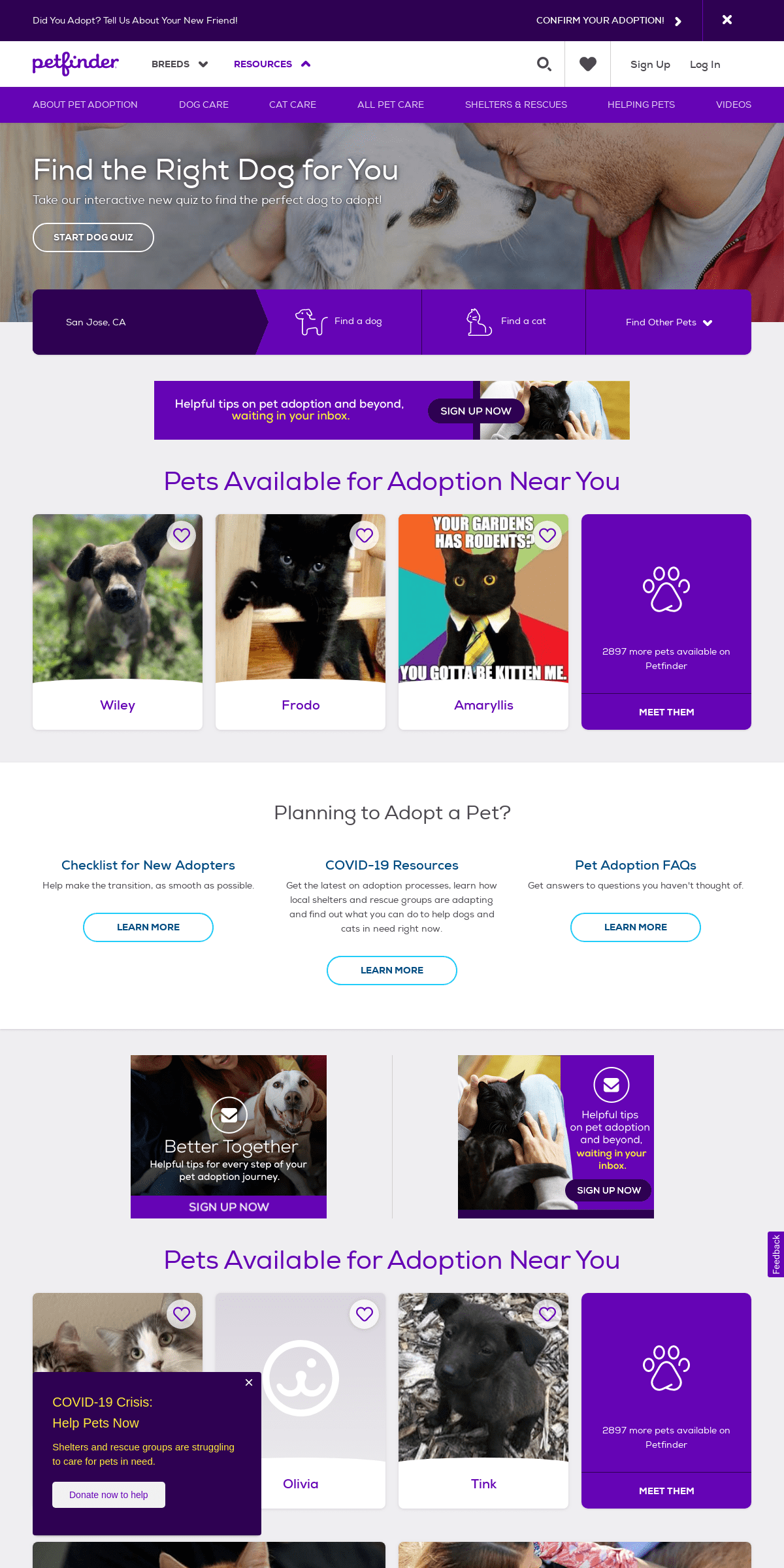 A complete backup of petfinder.org