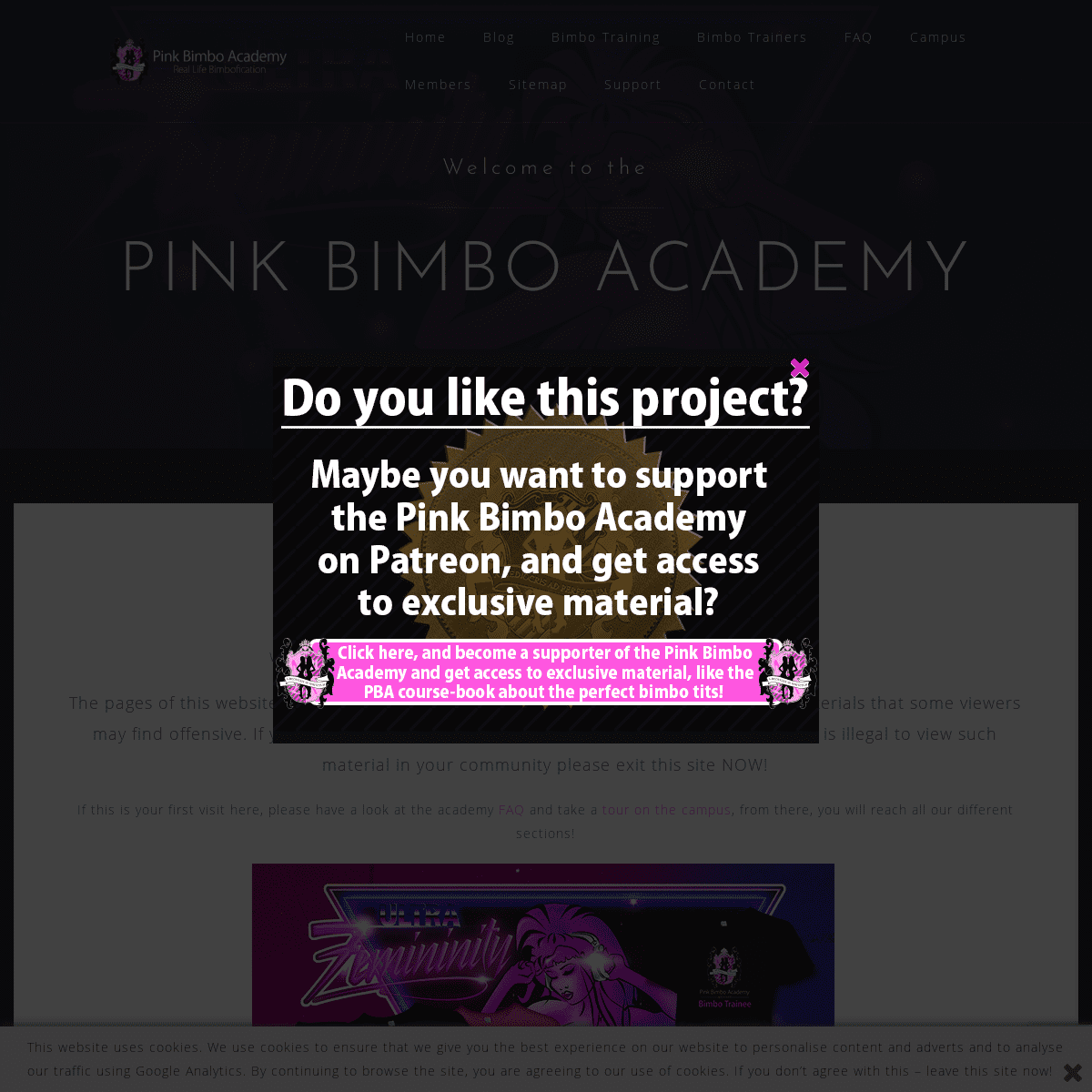 A complete backup of pinkbimboacademy.com