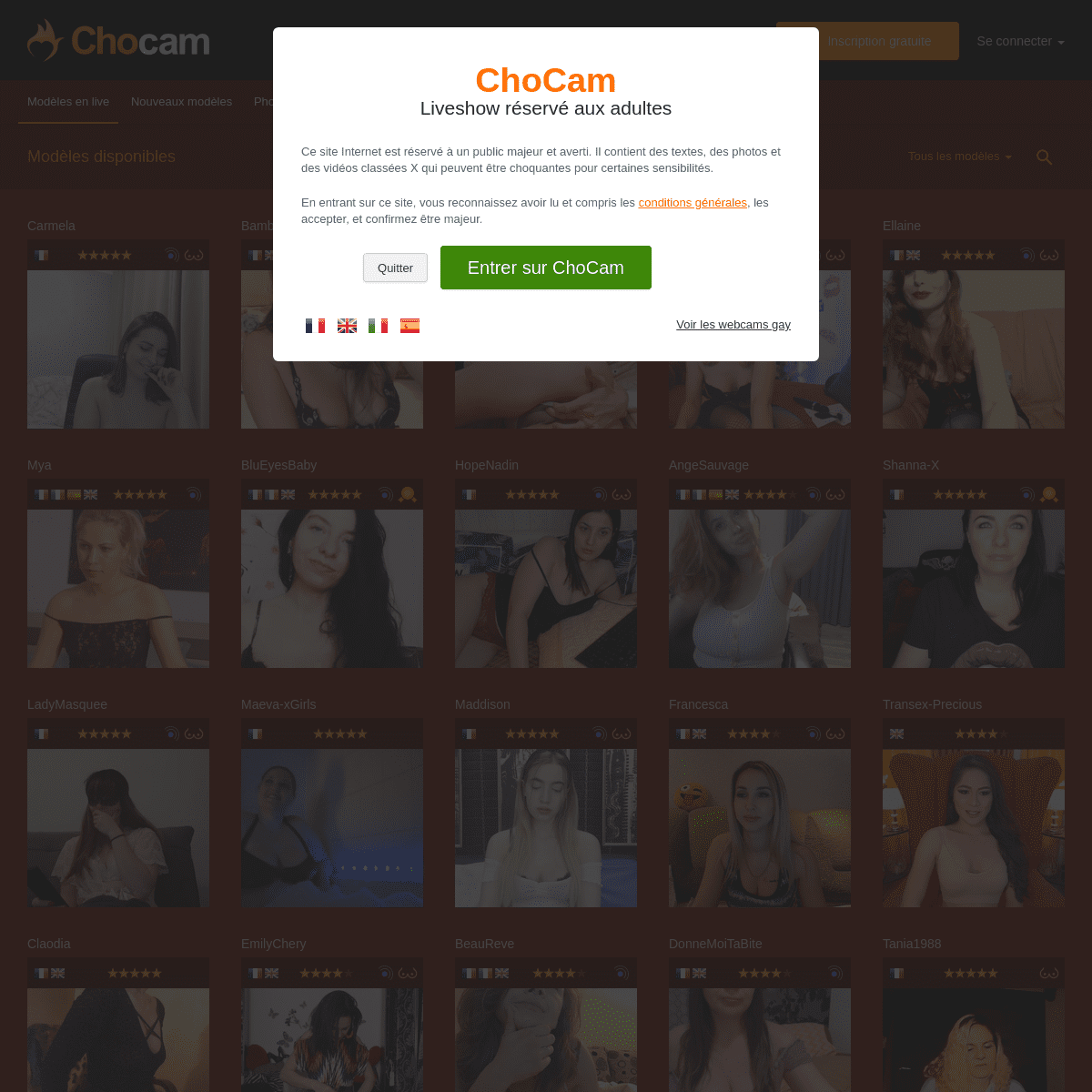 A complete backup of chocam.com