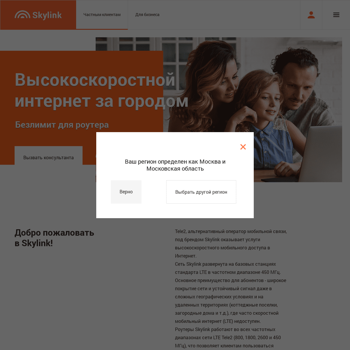 A complete backup of skylink.ru