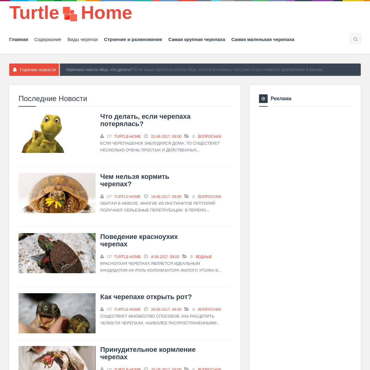 A complete backup of turtle-home.net
