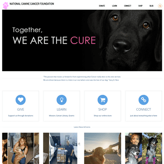 A complete backup of wearethecure.org