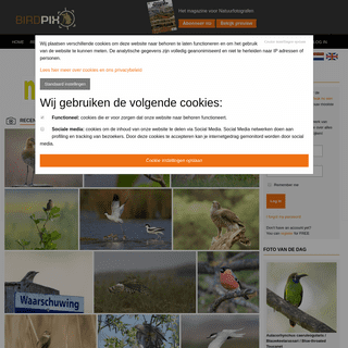 A complete backup of birdpix.nl