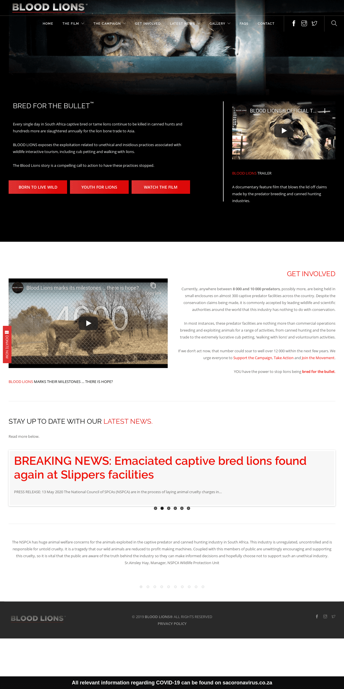 A complete backup of bloodlions.org