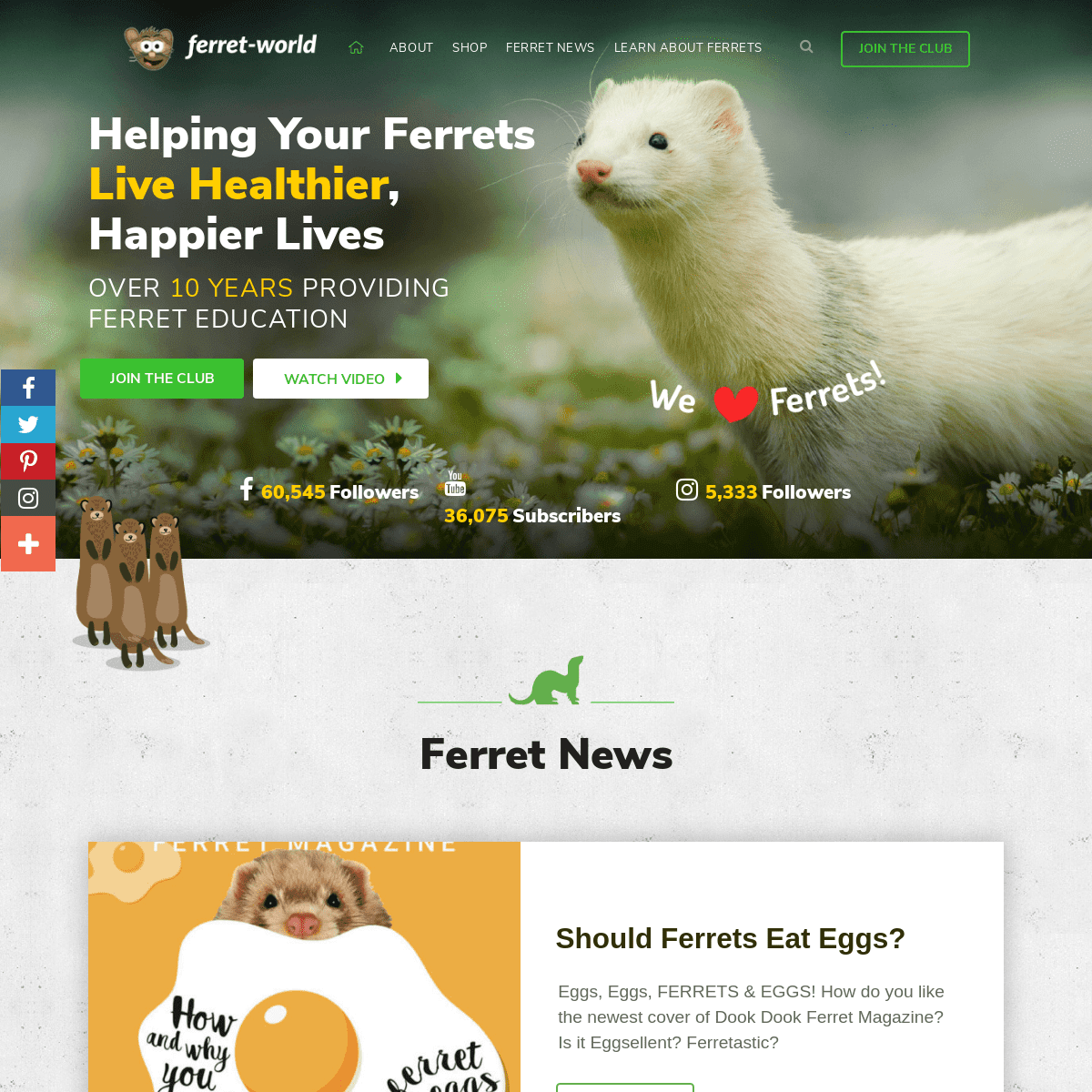 A complete backup of ferret-world.com