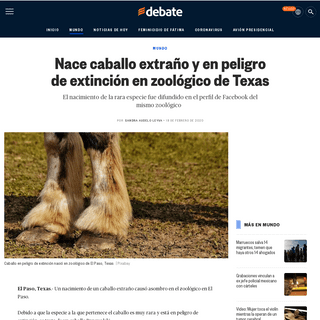 A complete backup of www.debate.com.mx/mundo/Nace-caballo-extrano-y-en-peligro-de-extincion-en-zoologico-de-Texas--20200218-0125