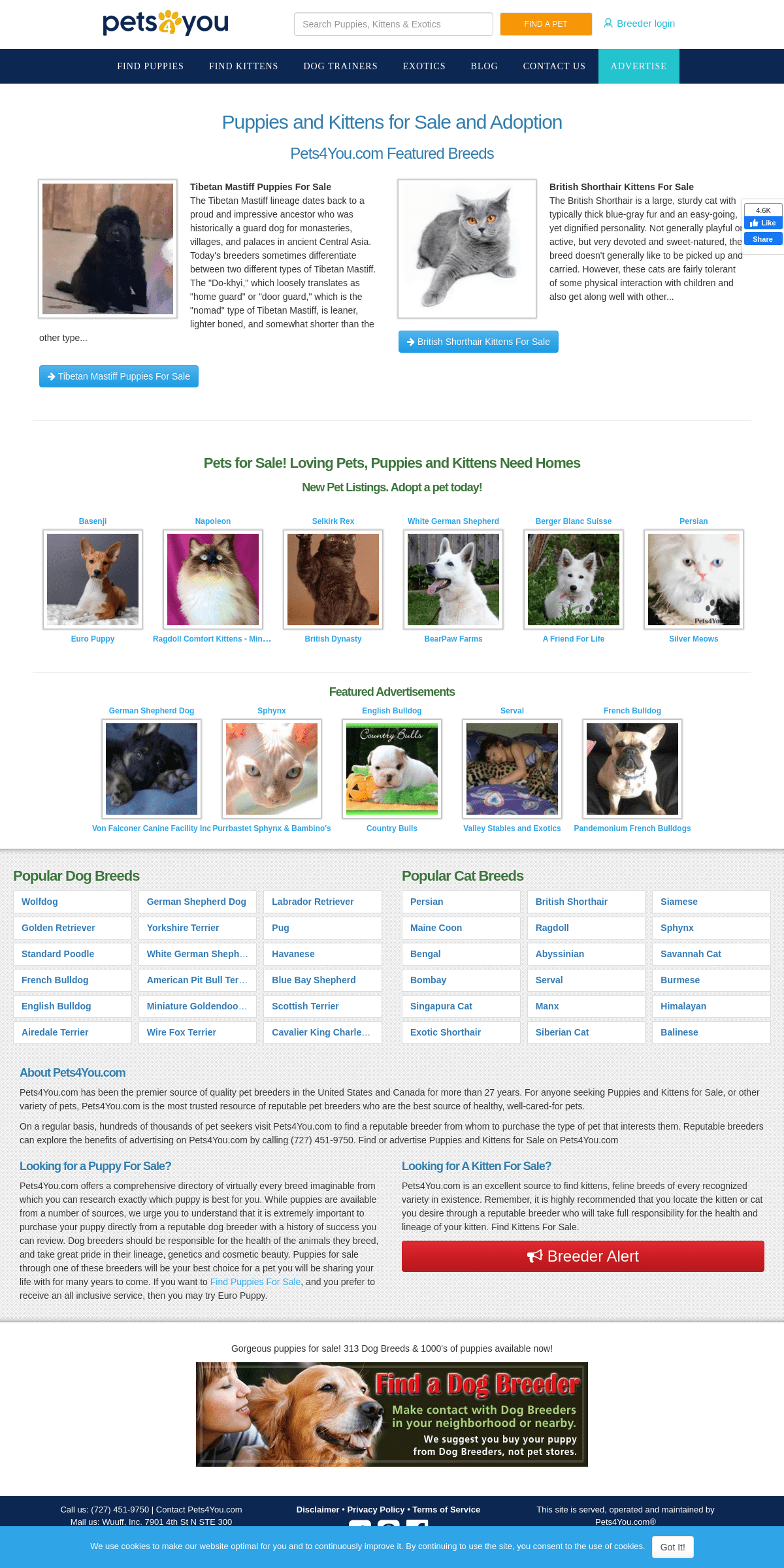 A complete backup of pets4you.com