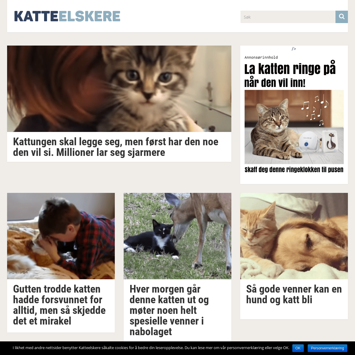 A complete backup of katteelskere.com