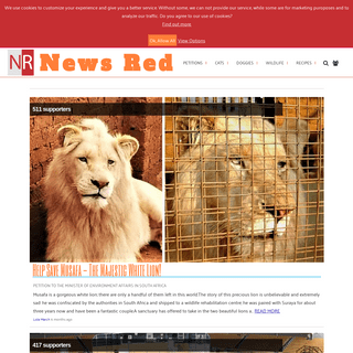 A complete backup of news-red.com