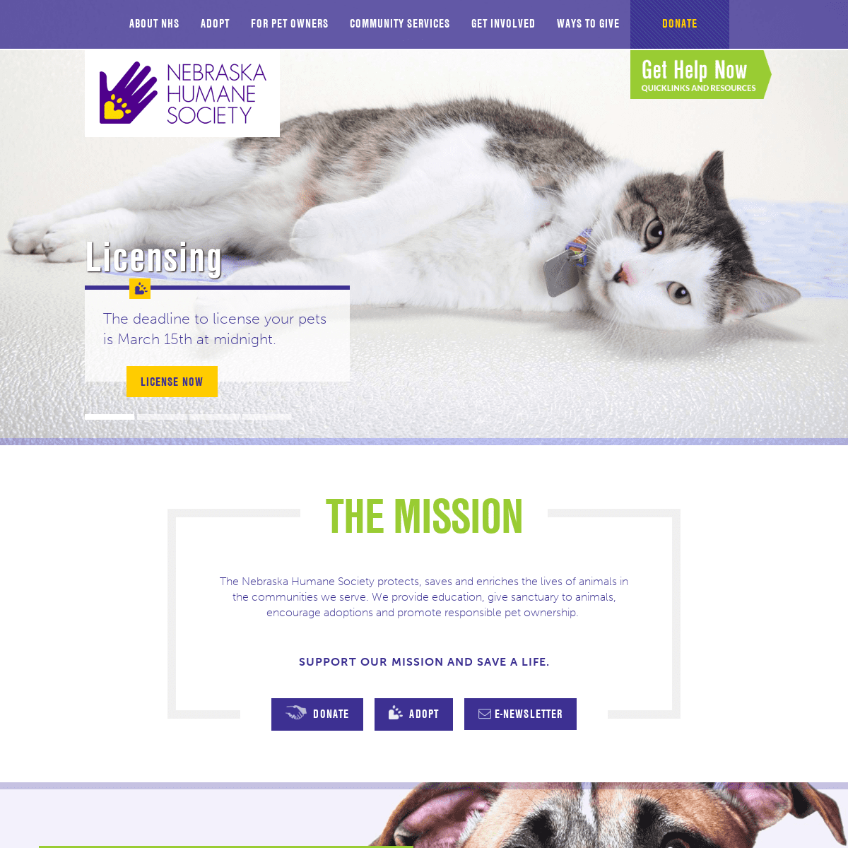 A complete backup of nehumanesociety.org