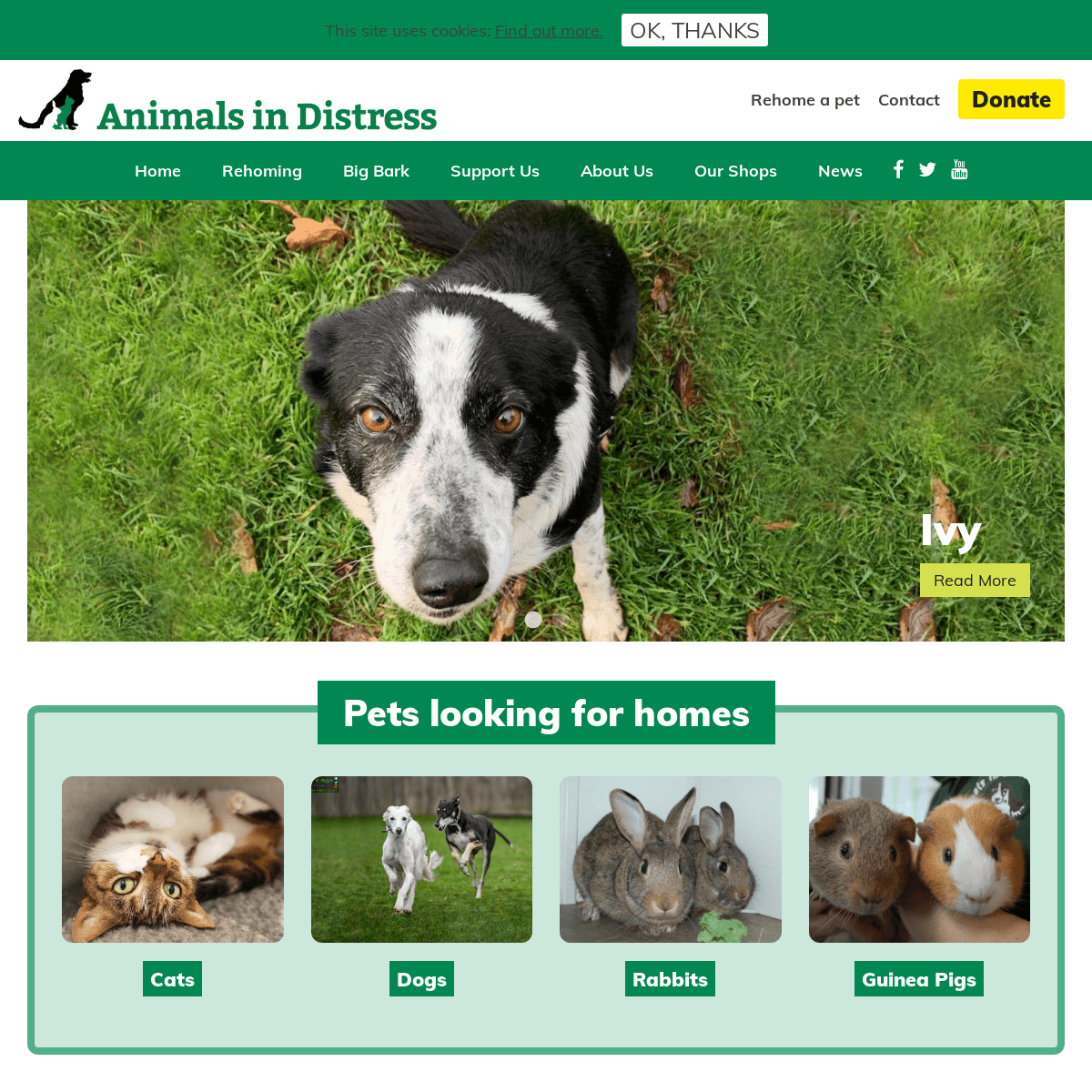 A complete backup of animalsindistress.uk.com