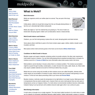 A complete backup of moldpedia.com
