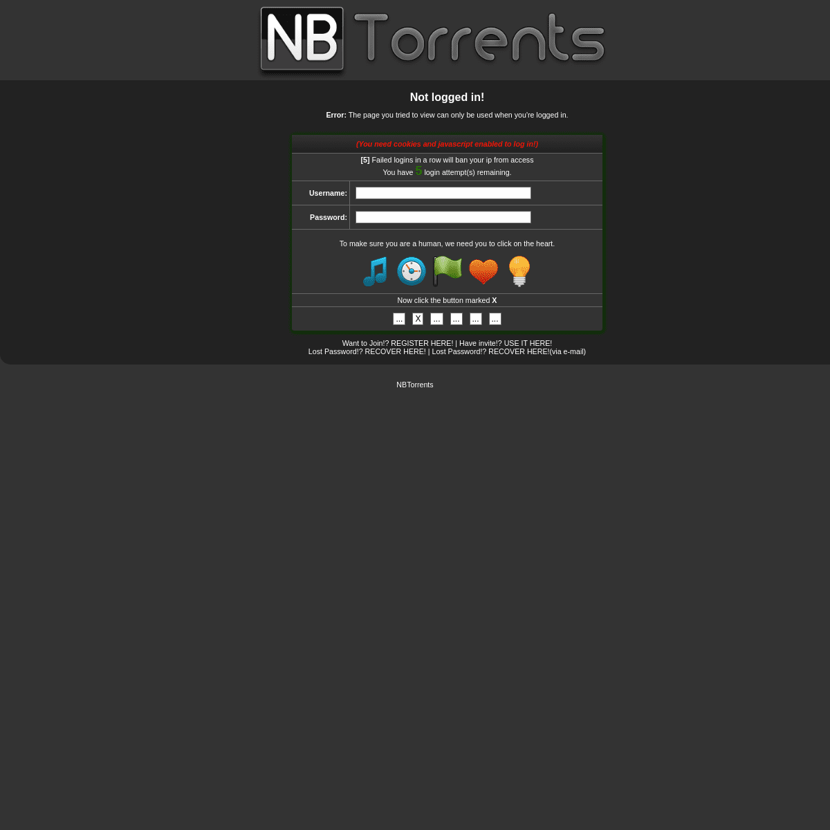 A complete backup of nbtorrents.com