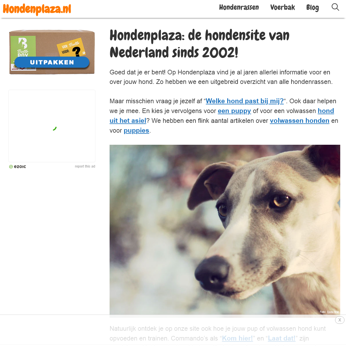 A complete backup of hondenplaza.nl
