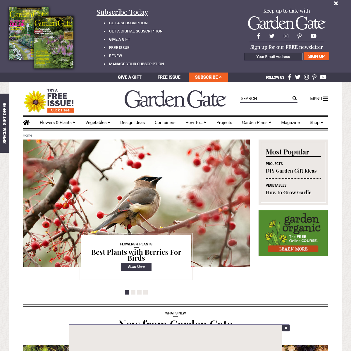 A complete backup of gardengatemagazine.com