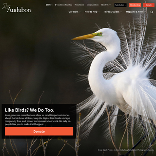 A complete backup of audubonsanctuary.com