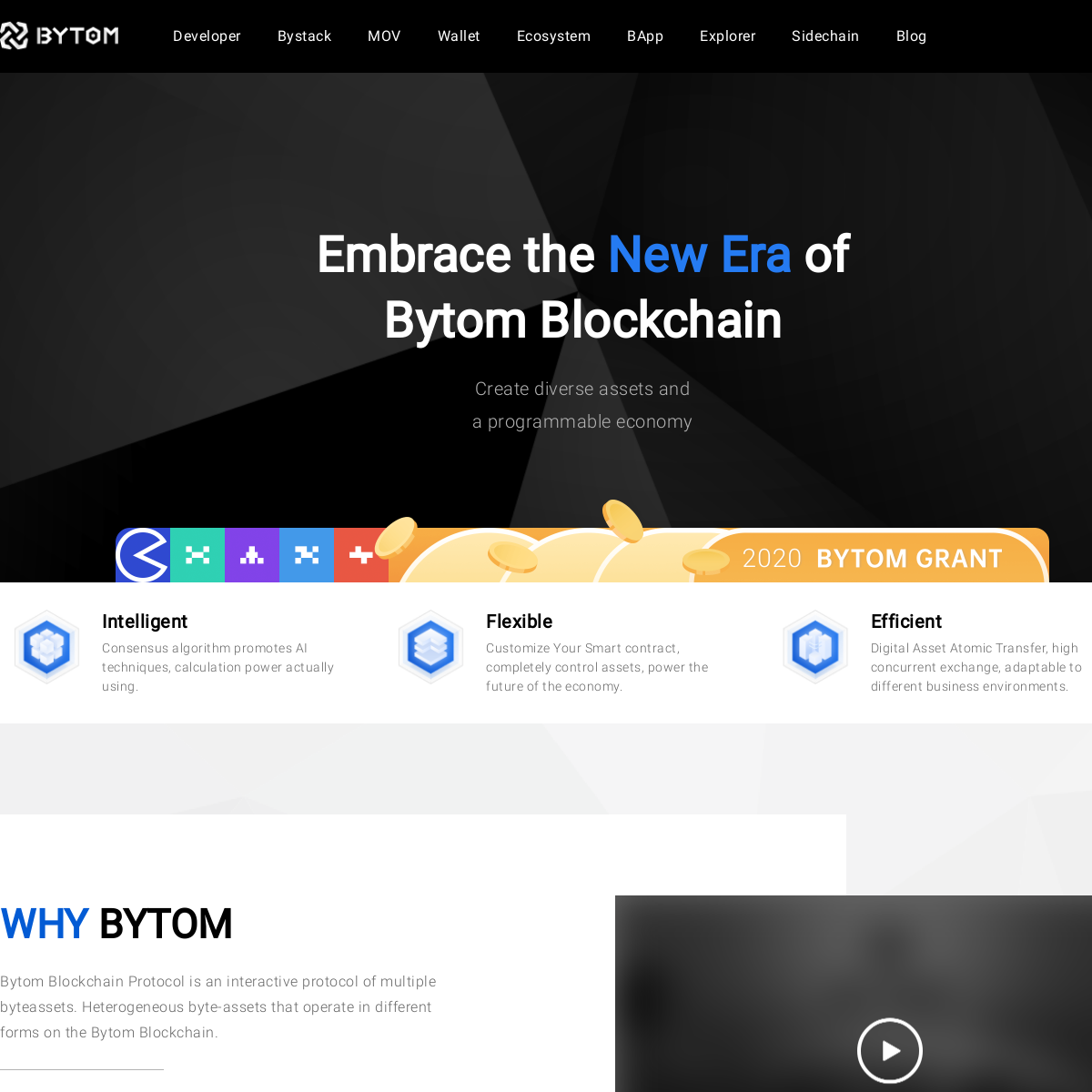 A complete backup of bytom.io