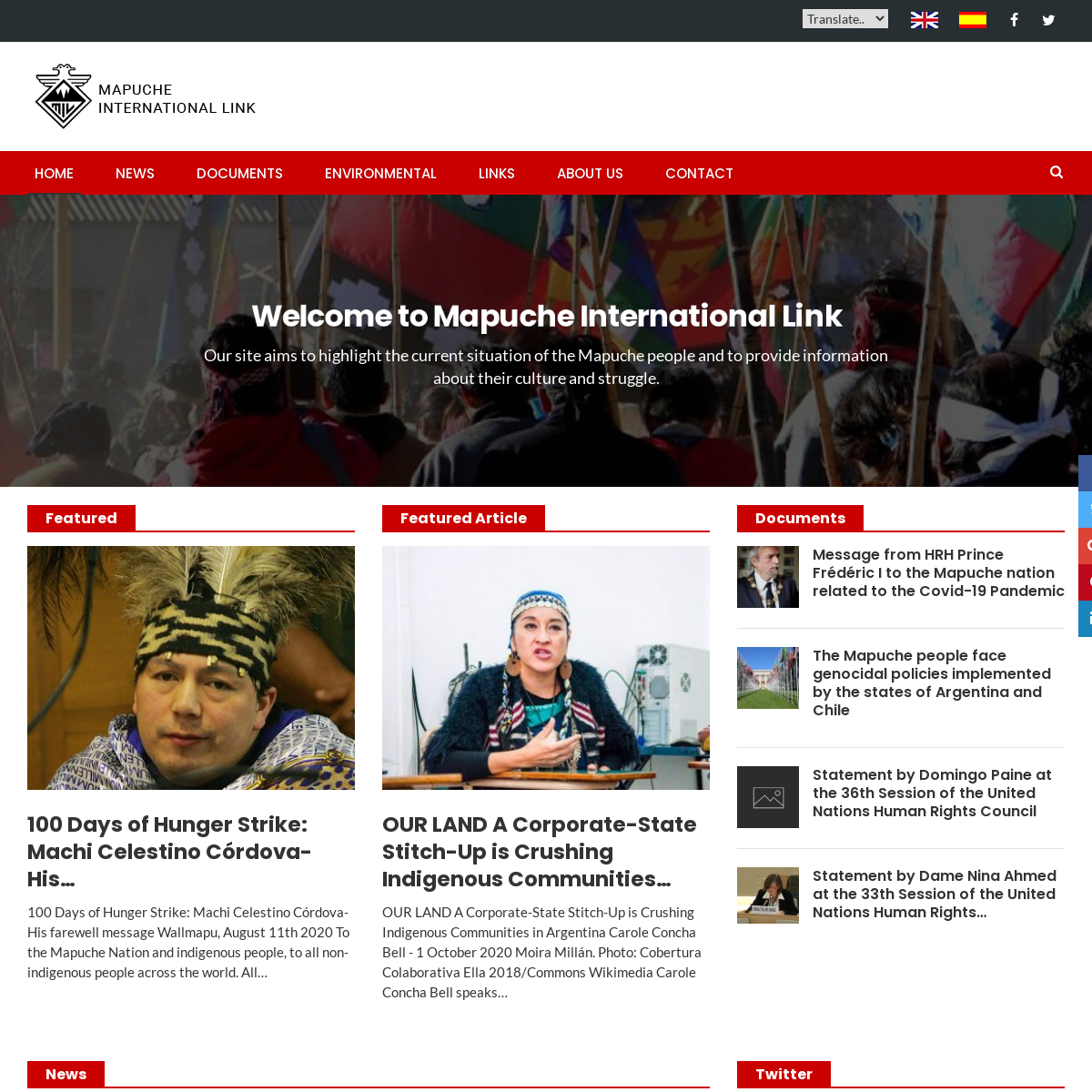 A complete backup of mapuche-nation.org
