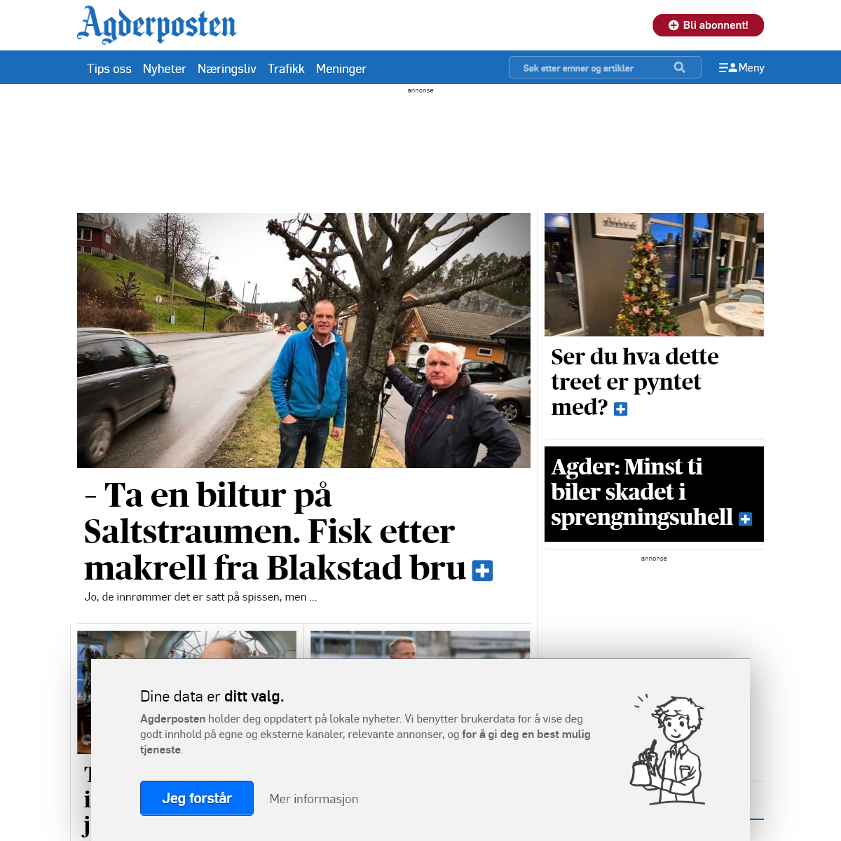 A complete backup of agderposten.no