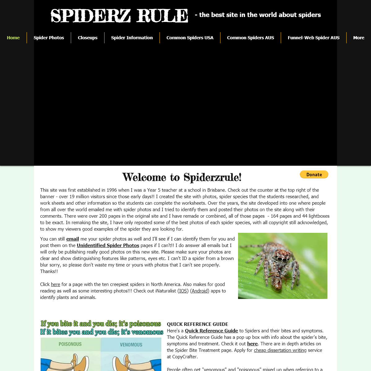 A complete backup of spiderzrule.com