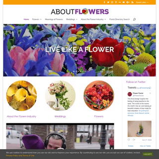 A complete backup of https://aboutflowers.com