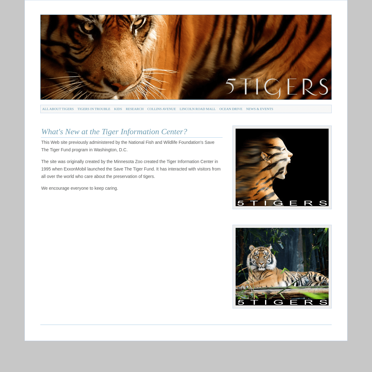 A complete backup of https://5tigers.org