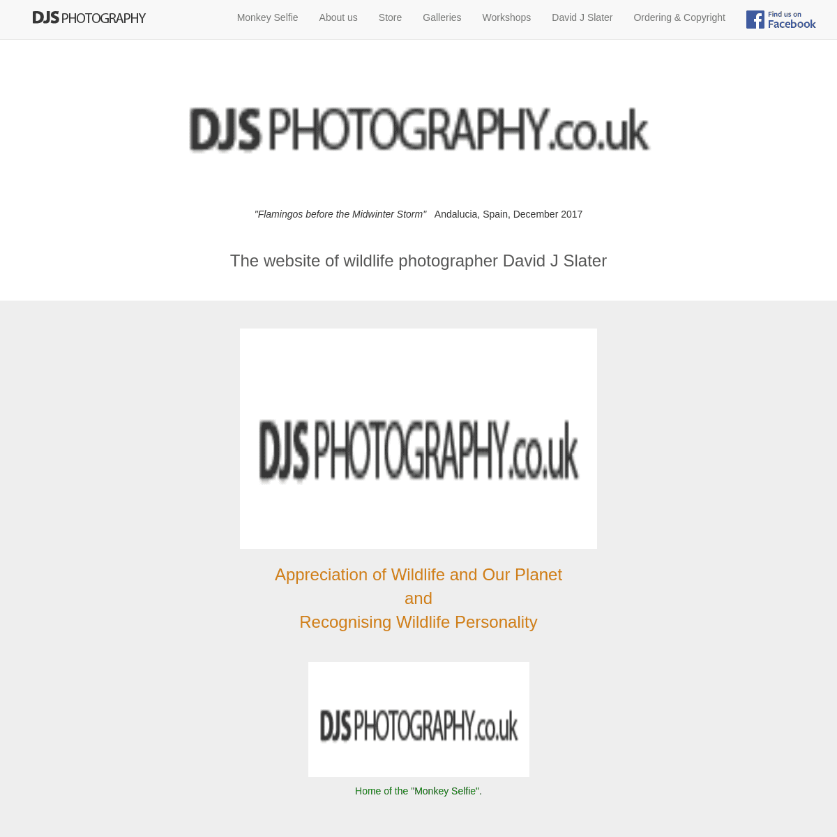 A complete backup of https://djsphotography.co.uk