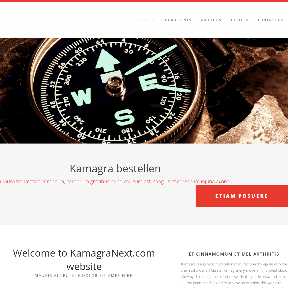 A complete backup of https://kamagranext.com