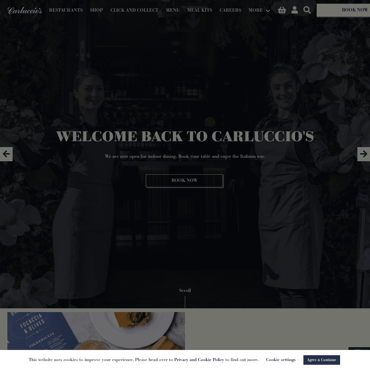 A complete backup of https://carluccios.com