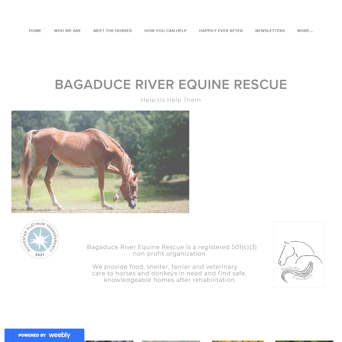 A complete backup of https://bagaduceriverequinerescue.weebly.com/