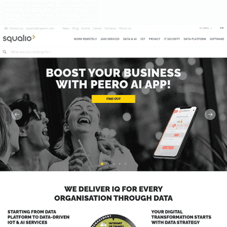 A complete backup of https://squalio.com
