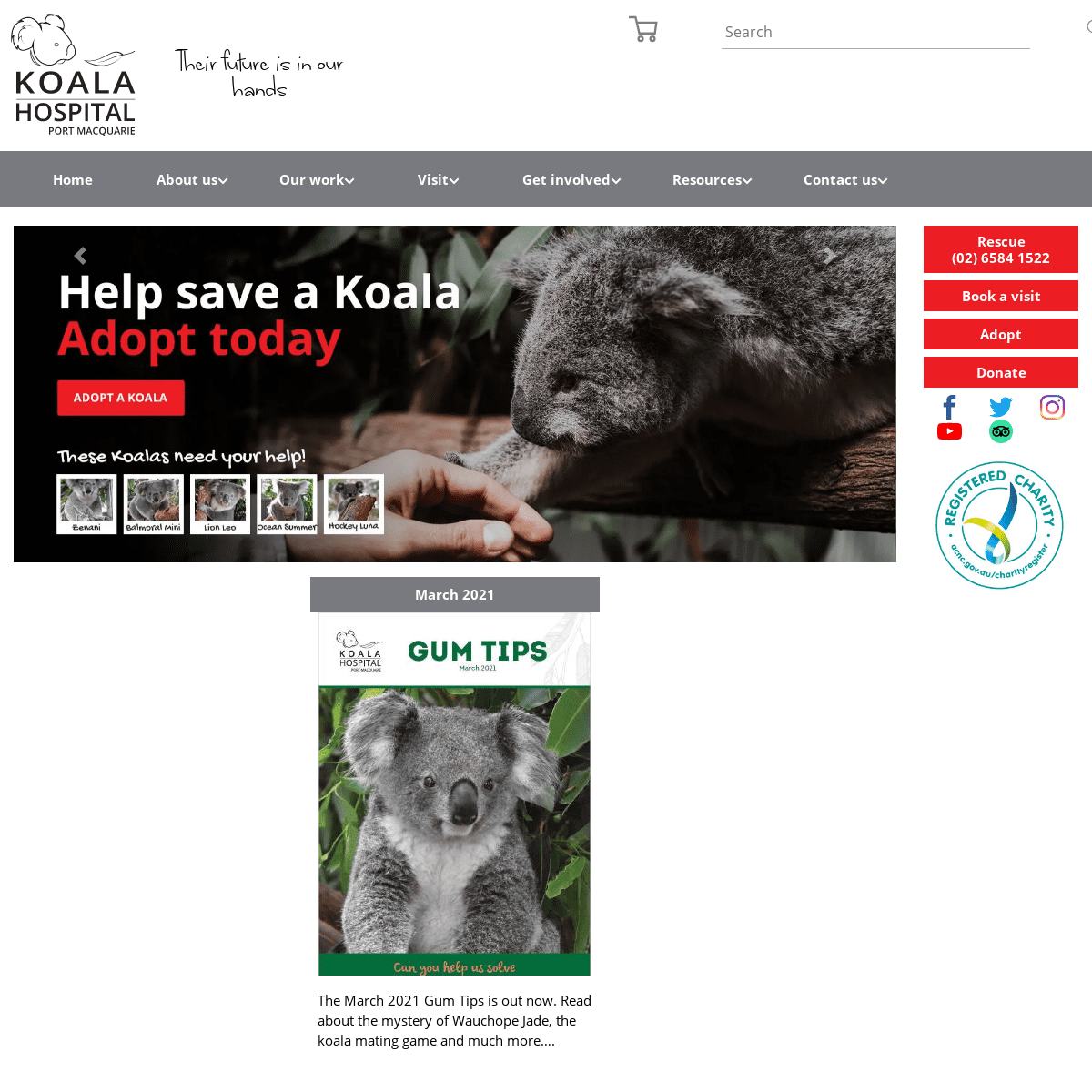 A complete backup of https://koalahospital.org.au