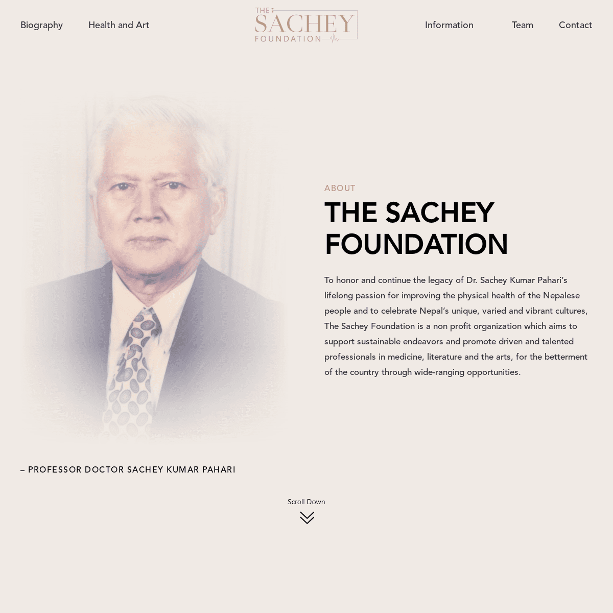 A complete backup of https://thesacheyfoundation.org