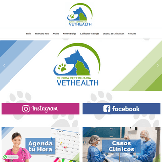 A complete backup of https://vethealth.cl