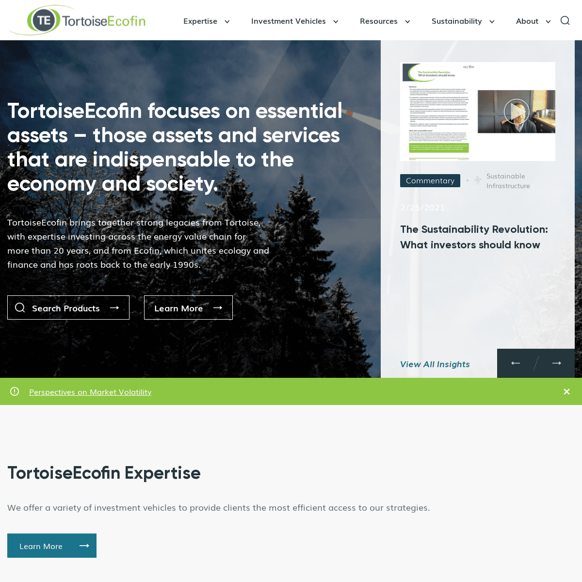 A complete backup of https://tortoiseecofin.com