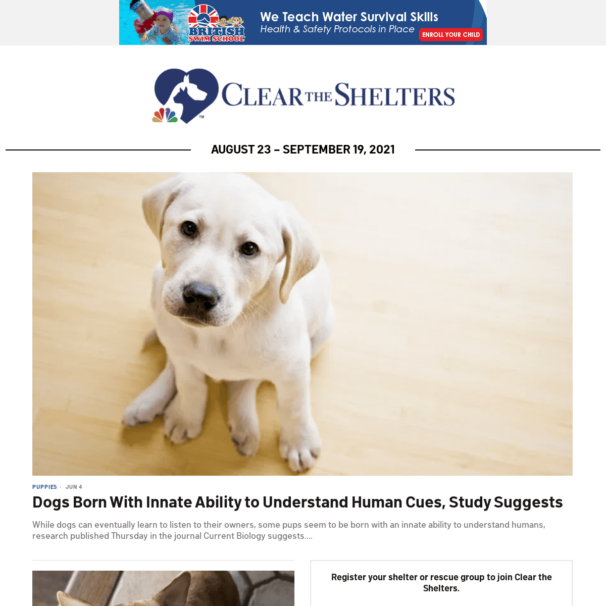 A complete backup of https://cleartheshelters.com