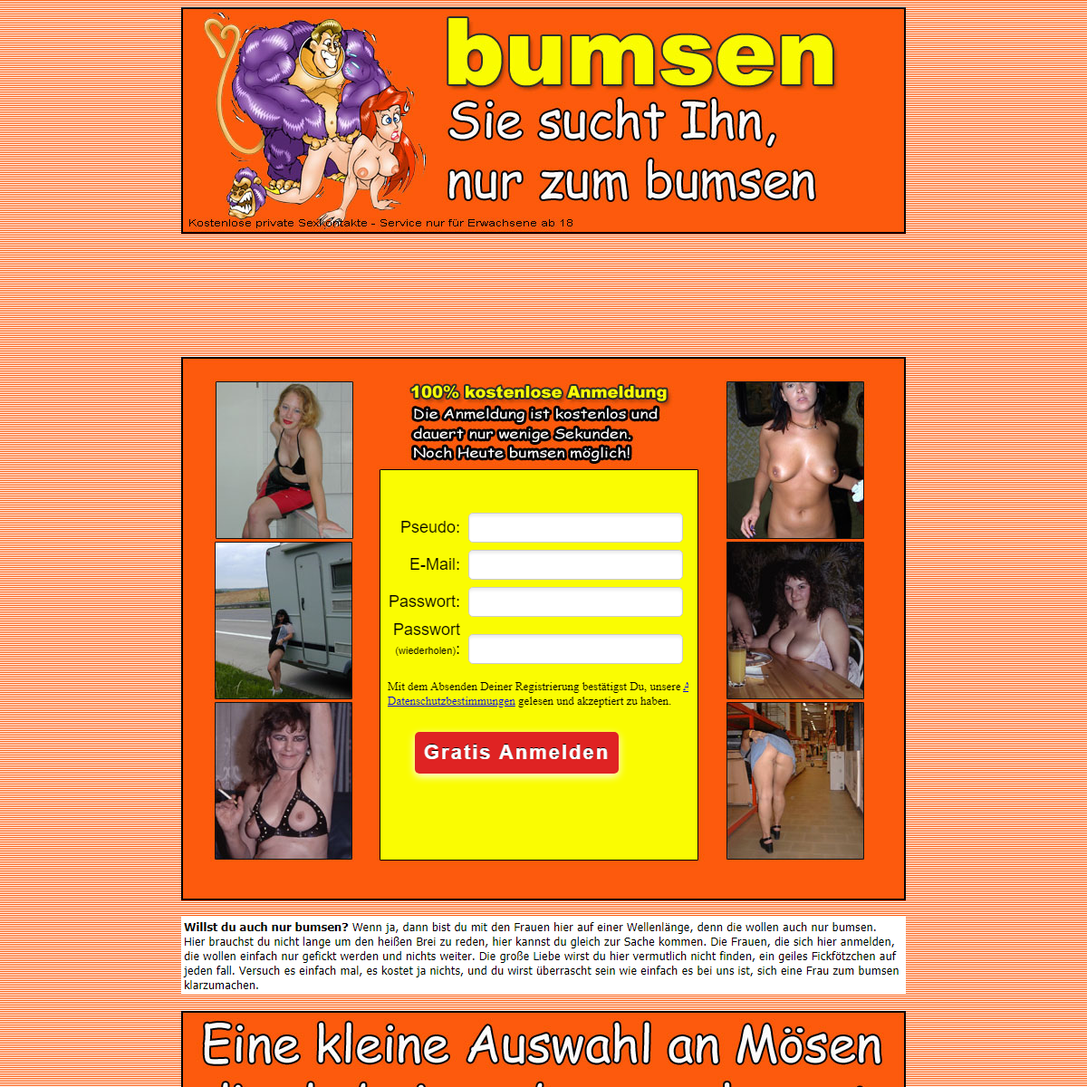 A complete backup of http://www.bumsen.cc/