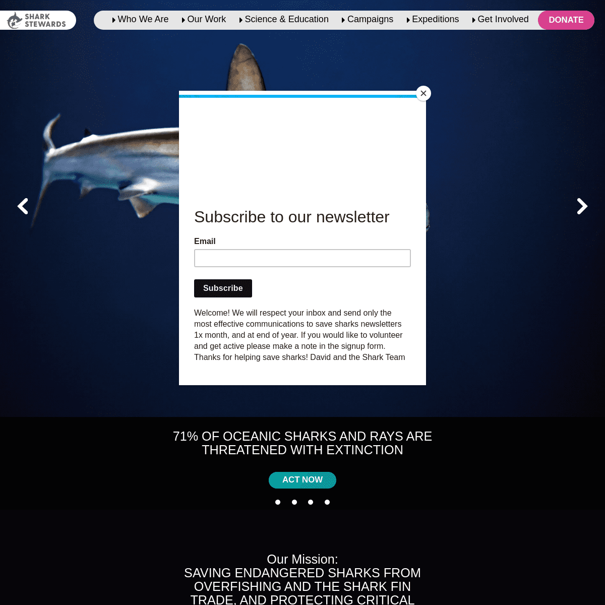 A complete backup of https://sharkstewards.org