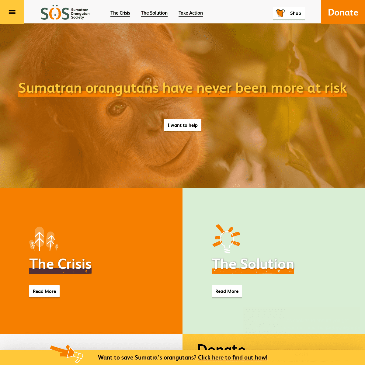 A complete backup of https://orangutans-sos.org