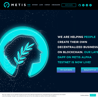 A complete backup of https://metis.io