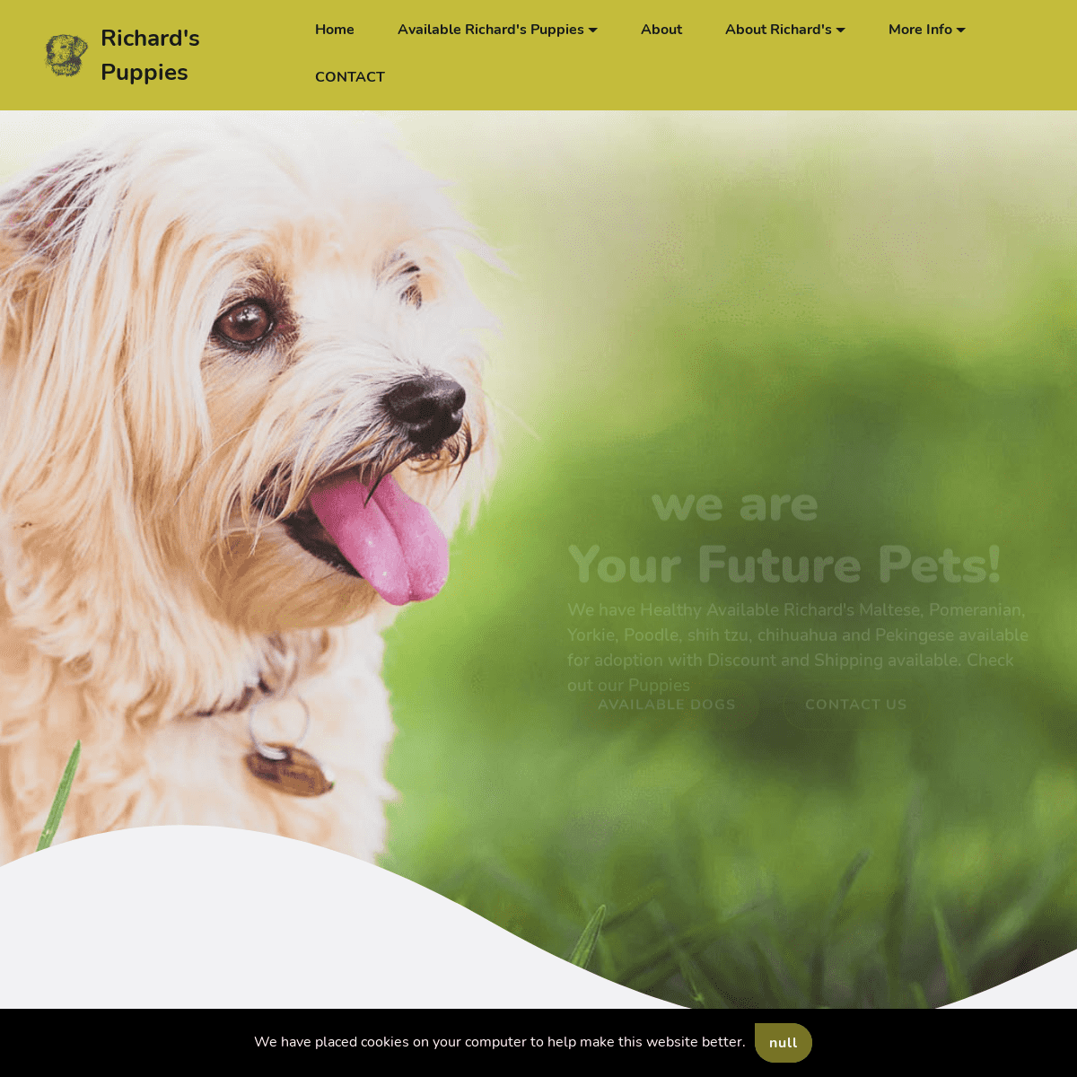 A complete backup of https://puppiesshops.com