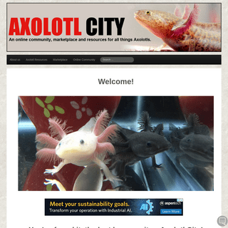 A complete backup of https://axolotlcity.com